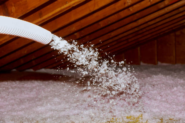 Best Garage Insulation Installation  in Franklin, NJ
